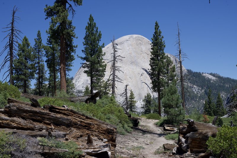 Views of the back side of Half Dome Come into views as the trail descends to its junction with the Panorama Trail.