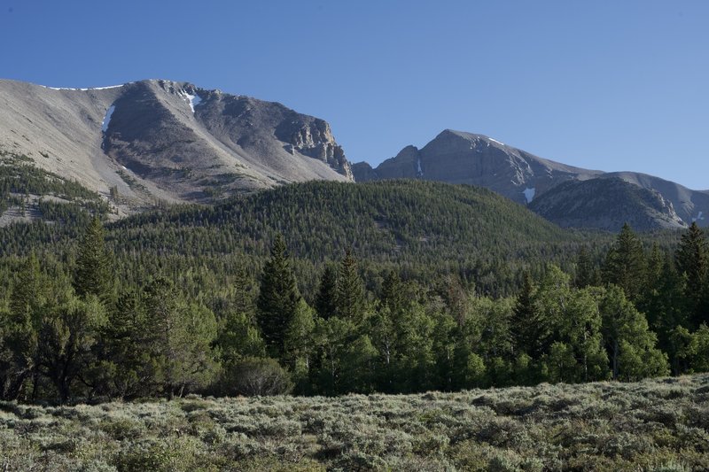 Views of Doso Doyabi and Wheeler Peak come into view as the trail passes through an open meadow.