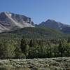 Views of Doso Doyabi and Wheeler Peak come into view as the trail passes through an open meadow.