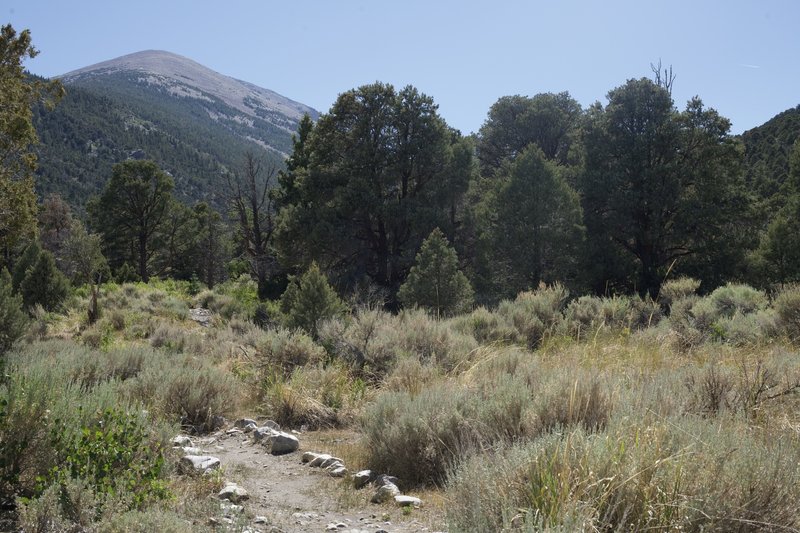 The trail departs Lower Lehman Creek Campground and makes its way toward the Upper Campground, with Doso Doyabi in view in front of you.