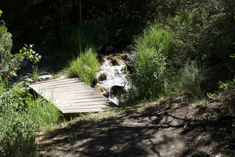 The trail crosses Lehman Creek via a small wooden plank bridge before emerging at the entrance to the Upper Lehman Creek Campground.