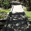 The trail crosses Lehman Creek right after leaving the parking lot.