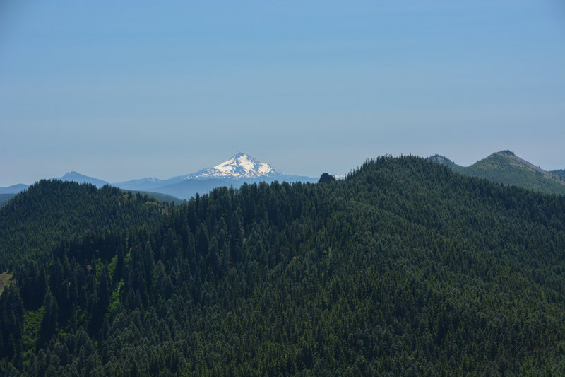 Mount Jefferson is very clearly visible from the summit of Salmon Butte.