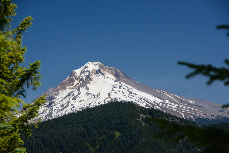 The first view of Hood from a semi-clearing about 5 miles up.