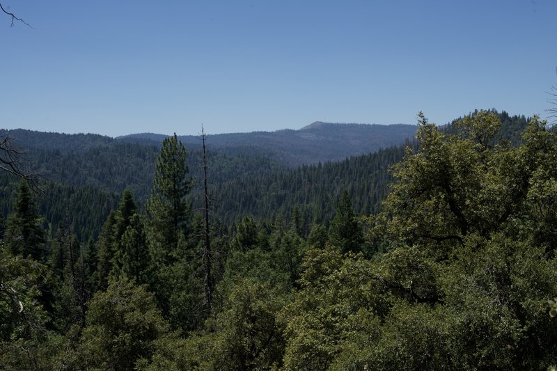 While there are not many sweeping views along this trail, sometimes it opens up and you can look out across the forests that make up Yosemite National Park and the surrounding area.