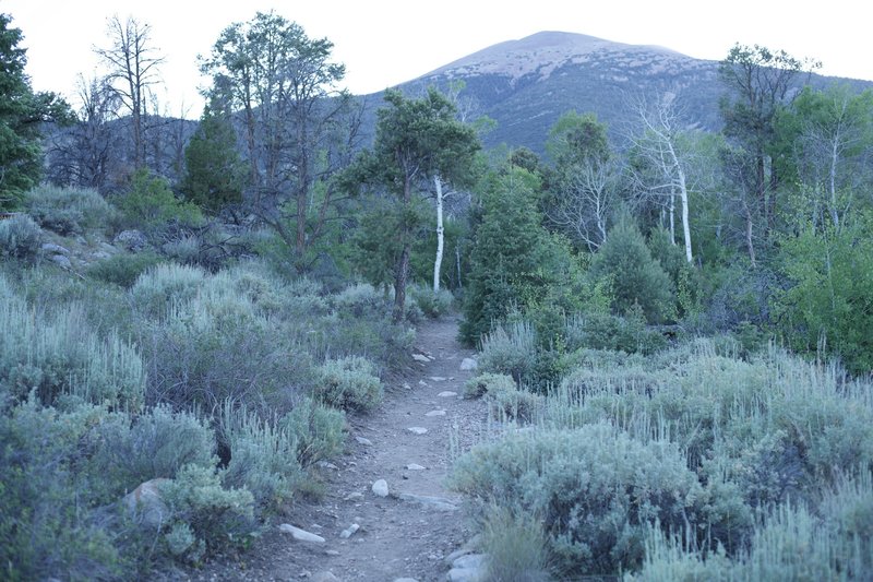 The trail departs the campground with Doso Doyabi in full view in front of you.