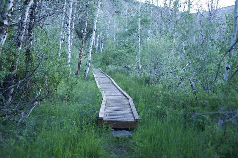 A boardwalk provides an easy way to cross a wet area in the trail.