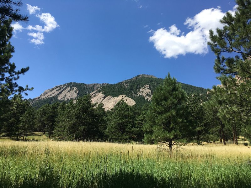 Looking toward flatirons from Mesa Trail.