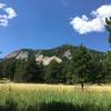 Looking toward flatirons from Mesa Trail.