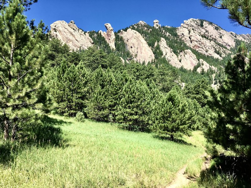 Looking toward flatirons from Mesa Trail.