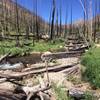 Hope creek winding through the burn scar. This would've been a completely different landscape with live trees.