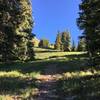 Trail opens up after the tree line at approximately 11,600 feet.