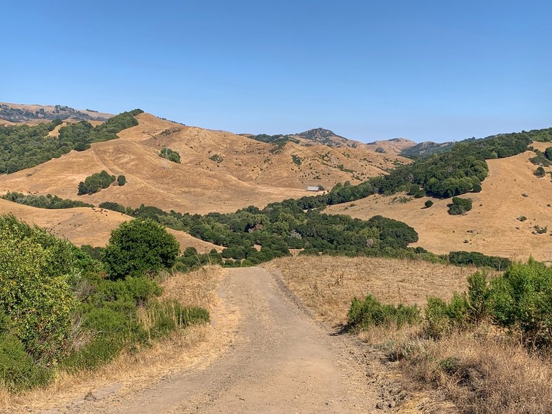 Looking east from about half way down the Rocky Ridge Trail.