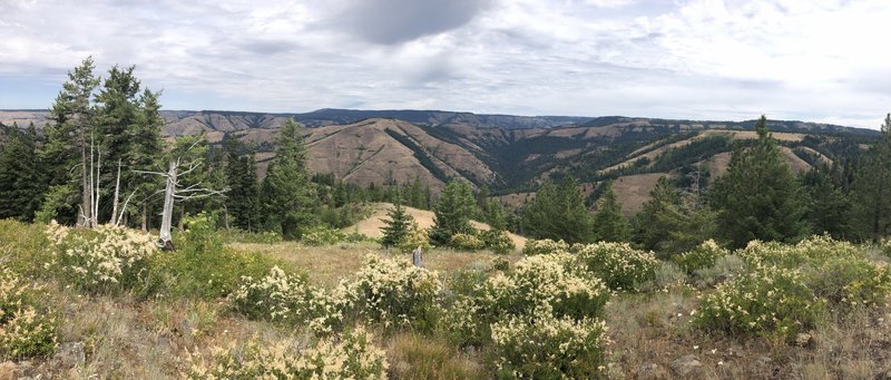 View to the north over Buck Creek drainage toward Grouse Mountain on left horizon.