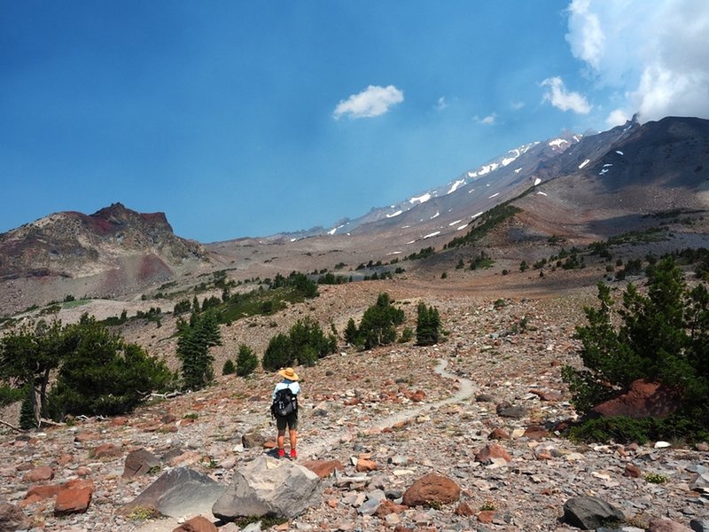 On the divide above the Old Ski Bowl.