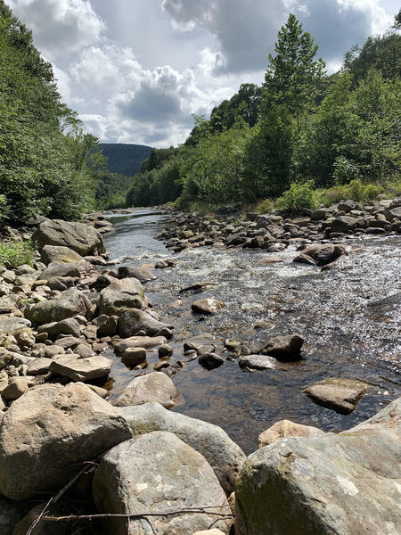 Crossing Red Creek in Dolly Sods.