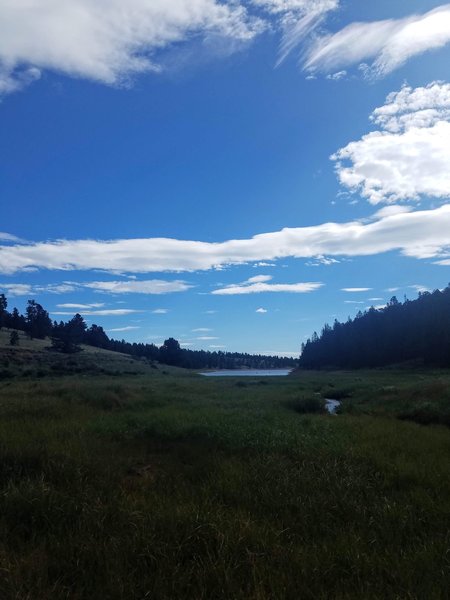 Limber Pine Trail. View from marsh area looking out toward Catamount Reservoir South..