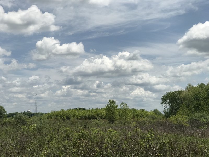 Late spring sun and clouds on the Marsh Hawk Trail.