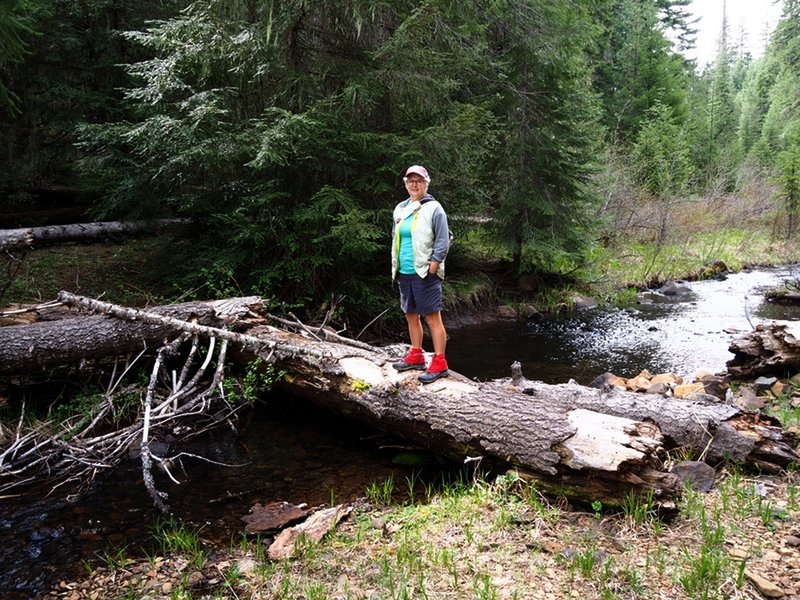 Logs replace a bridge over Beaver Dam Creek near Beaver Dam Campground.