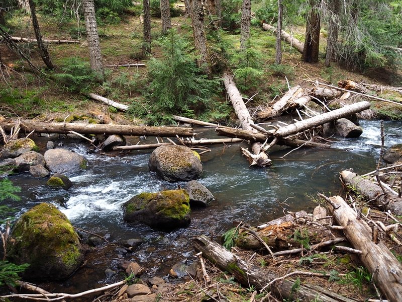 Beaver Dam Creek