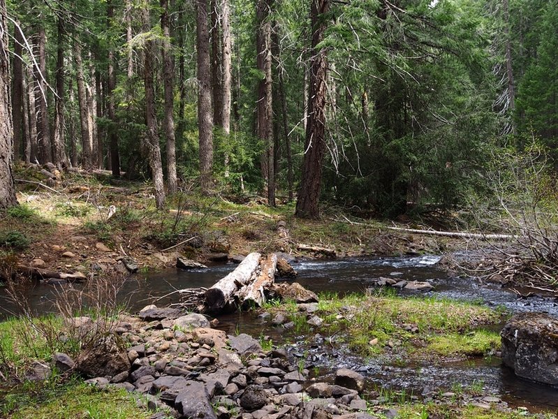 End of the trail (the logs stop short of bridging the creek).