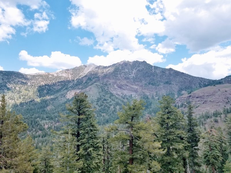 A viewpoint on the PCT near Ebbetts Pass.