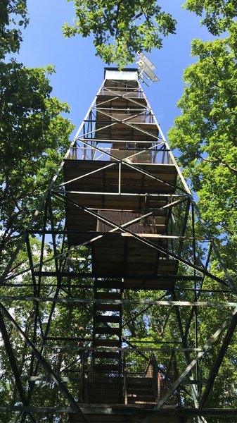 Fire Tower #9