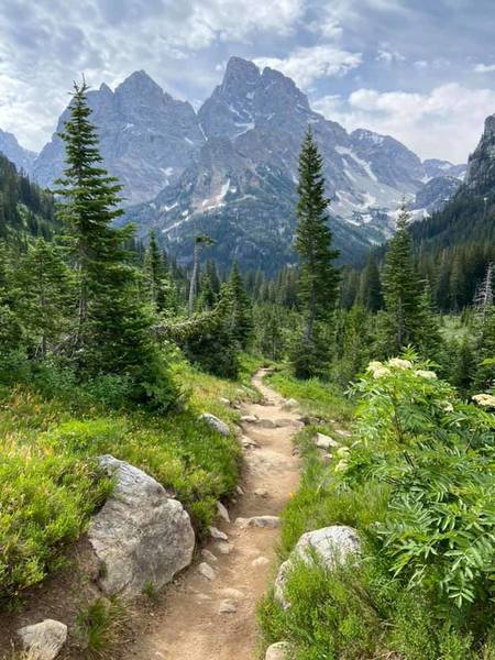 The view as you are hiking down to the start after leaving Lake Solitude.