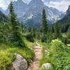 The view as you are hiking down to the start after leaving Lake Solitude.