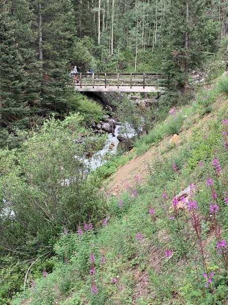 Crossing the falls