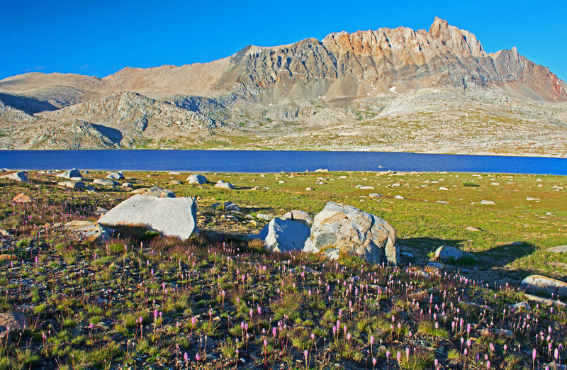 From west shore of Desolation Lake looking towards Mt. Humphreys.