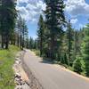 Looking South down the Trout Creek Trail.