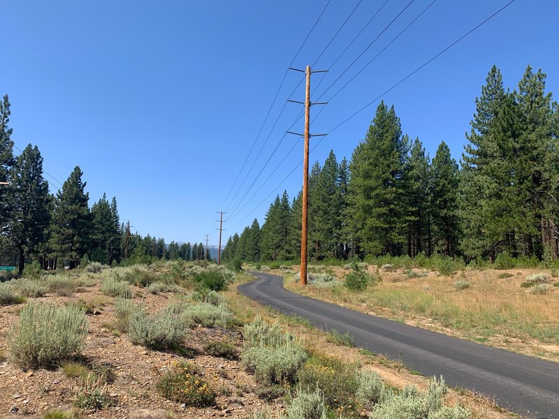 Facing West at the midpoint of South Gray's Crossing Trail.