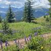 Views toward the 10 mile range from the Gore Range Trail