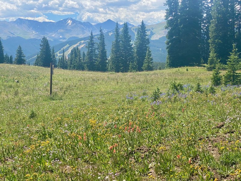 Copper Mountain and the 10 Mile Range