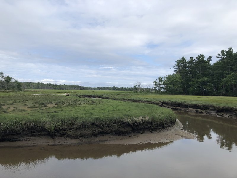 Looking out over the salt marsh on the Carson Trail