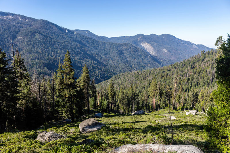 View from Paradise Ridge Trail from within the Atwell Grove