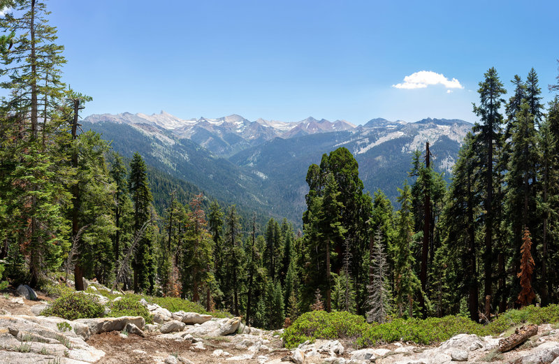 View towards Mineral King