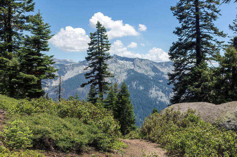 View south from the top of Paradise Ridge