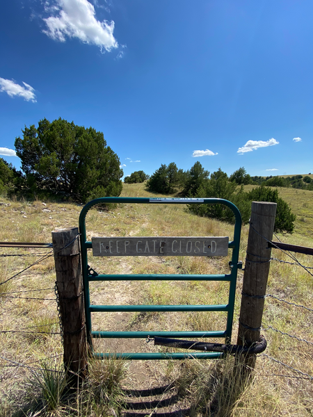 Continue through gate to stay on Lentzen Gazebo Trail