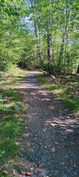 Sterling Lake Trail