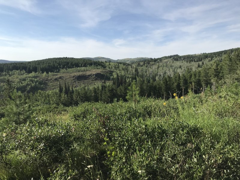 One of the nice views from the Blind Creek trail