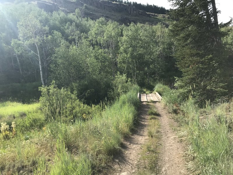 The Forest Service installed a nice bridge that crosses Goose Creek