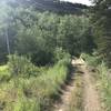 The Forest Service installed a nice bridge that crosses Goose Creek