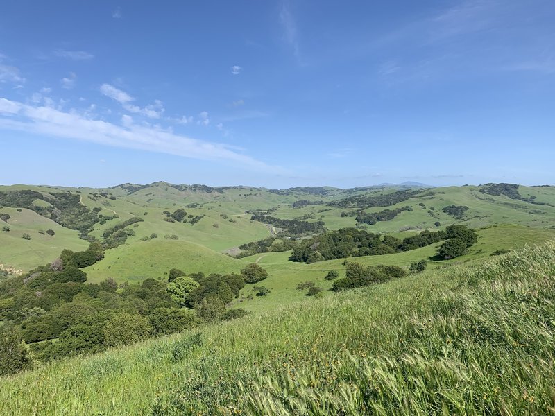 Looking west from Sobrante Ridge at Alhambra Valley.