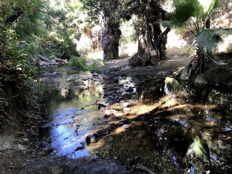 One of several water crossings