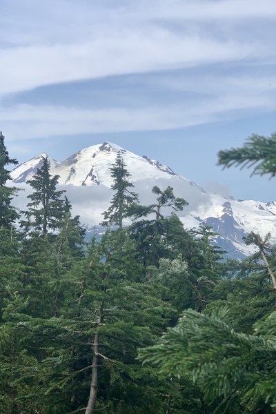 View of Mt. Baker from Shannon Ridge trail.