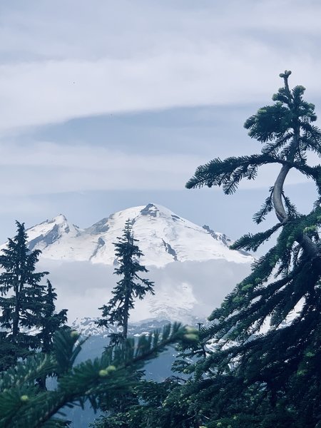 MT. Baker viewed from Shannon Ridge.