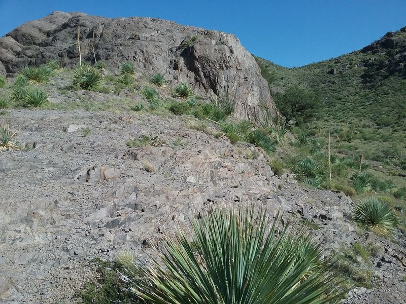 Scenic view from the trail