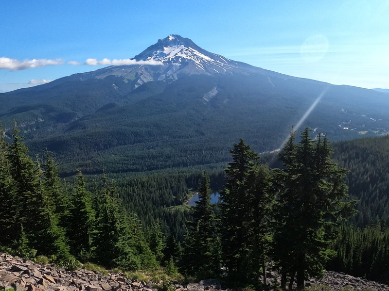 Mt. Hood from the end of trail